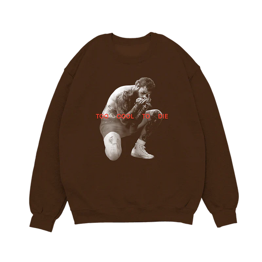 Post Malone Too Cool To Die crewneck front view featuring Austin album era portrait graphic on brown sweatshirt